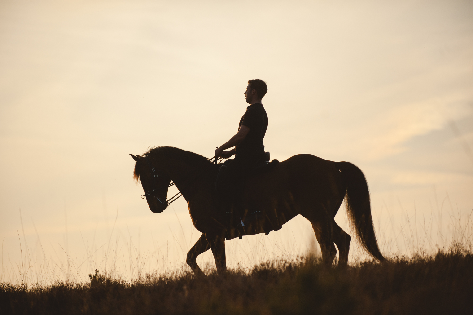 Marketing Tips for Equine Photographers