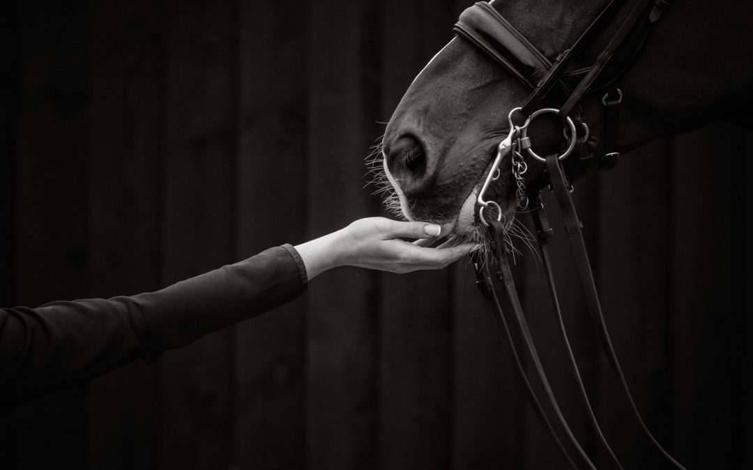 Get in the habit of being creative