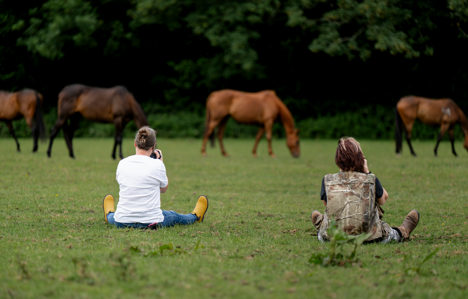 SERENA AND POLO PONIES BTS-132