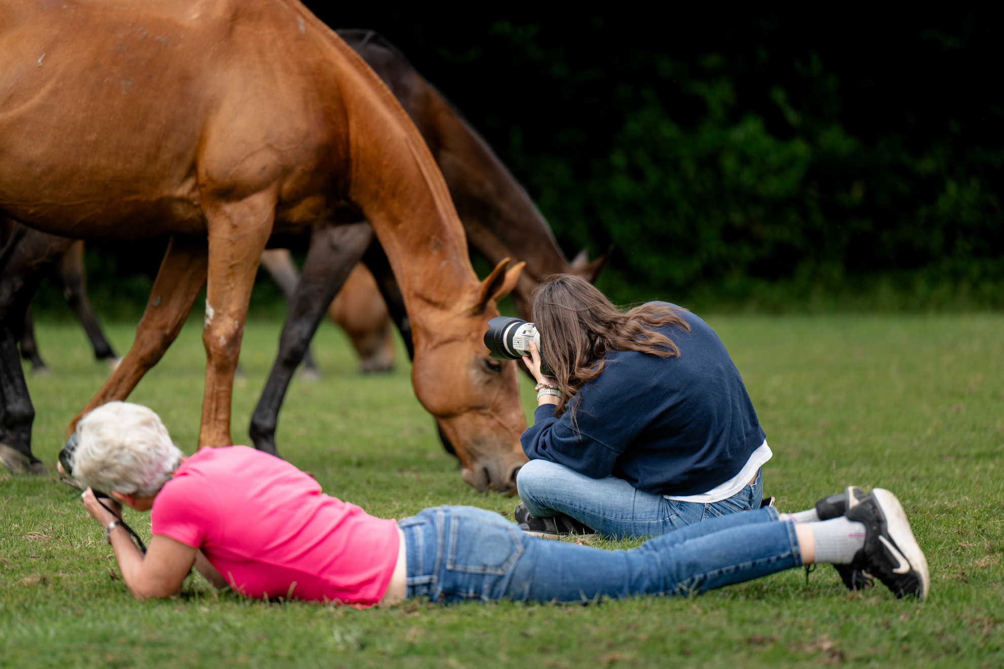 SERENA AND POLO PONIES BTS-141
